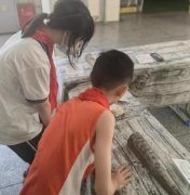 教师团队踔厉奋发努力实现玉溪师院附小的跨越发展